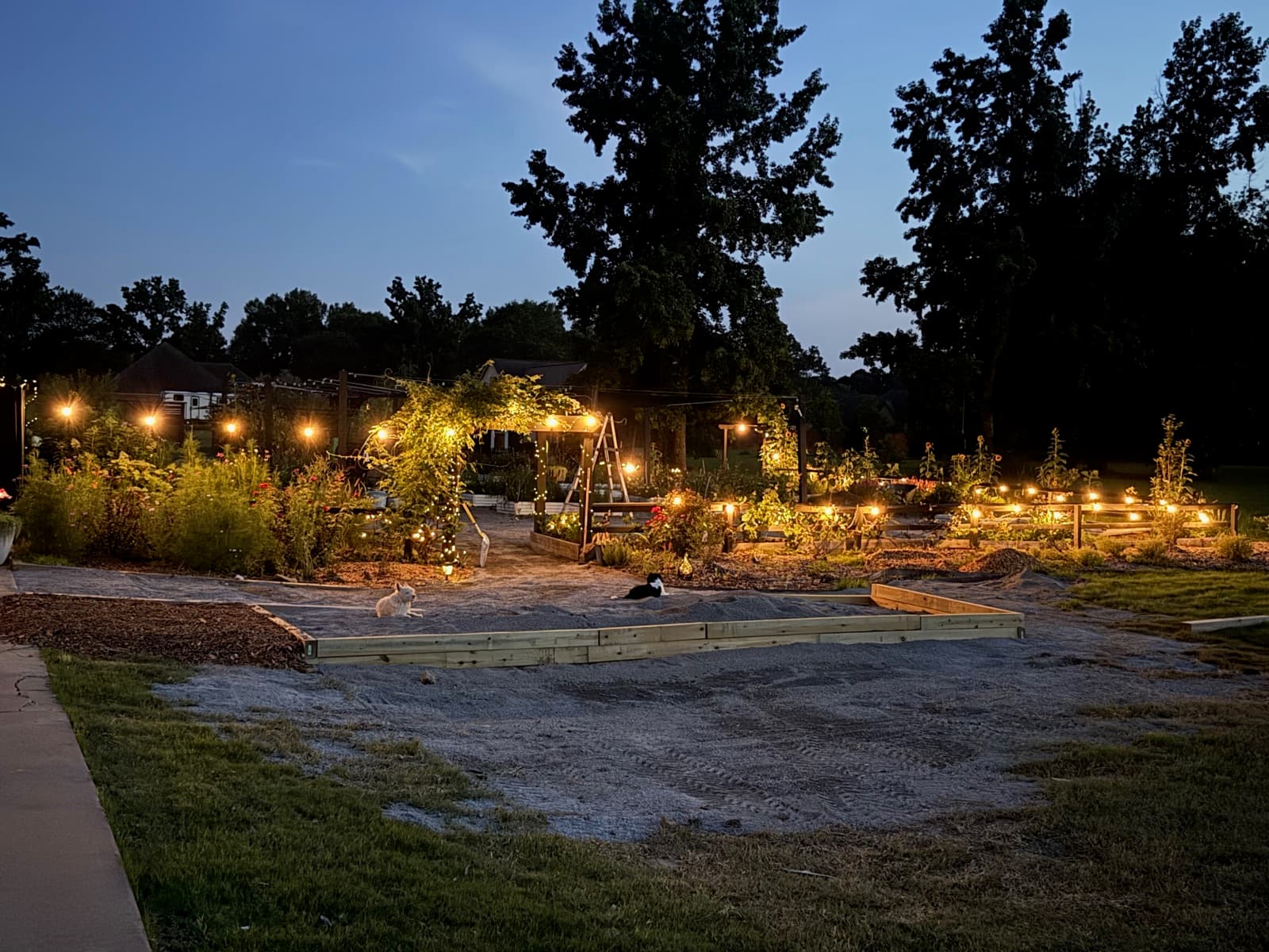 The farm at dusk with string lights and raised beds