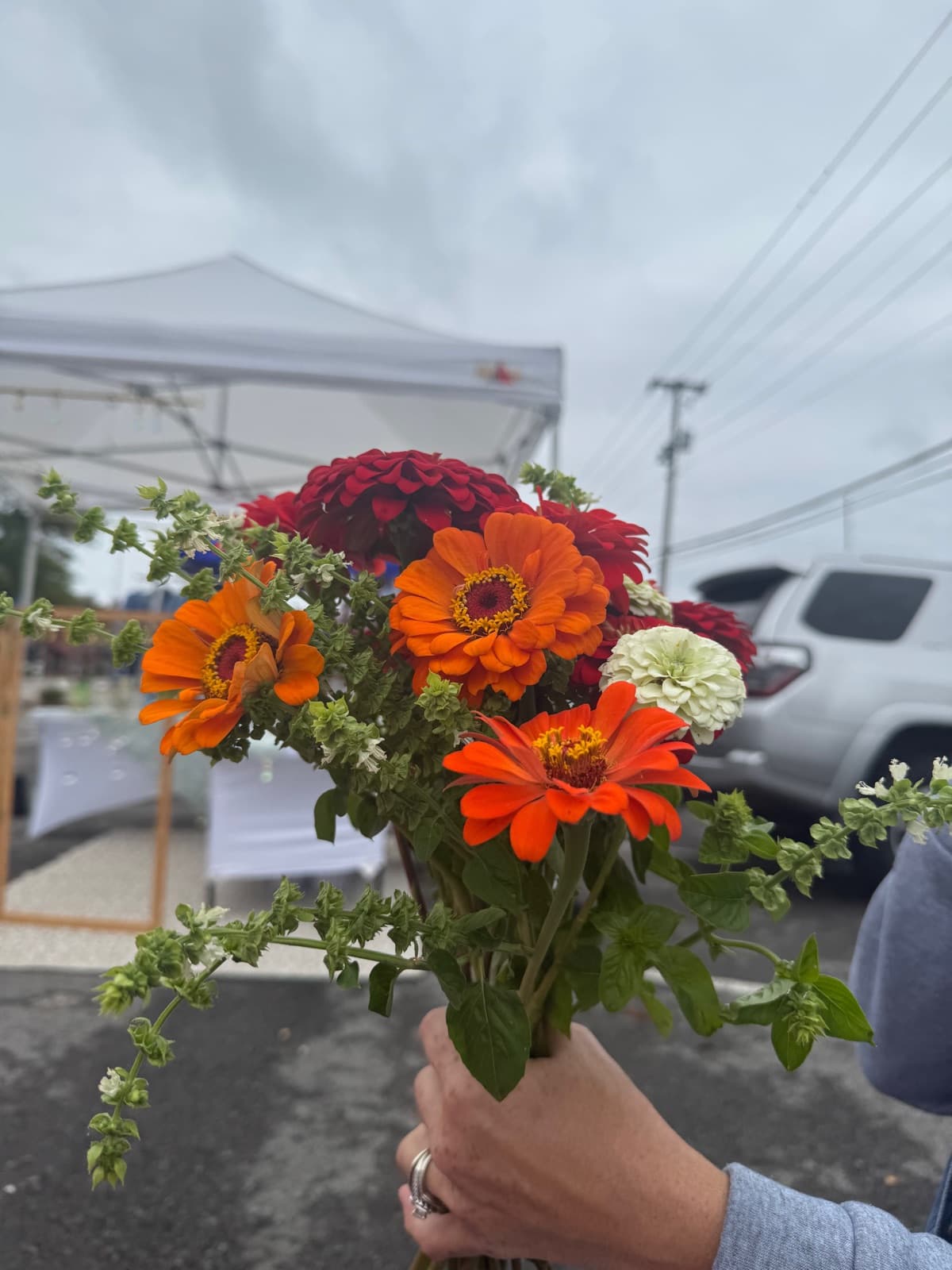 Hand holding a premium bouquet of orange zinnias