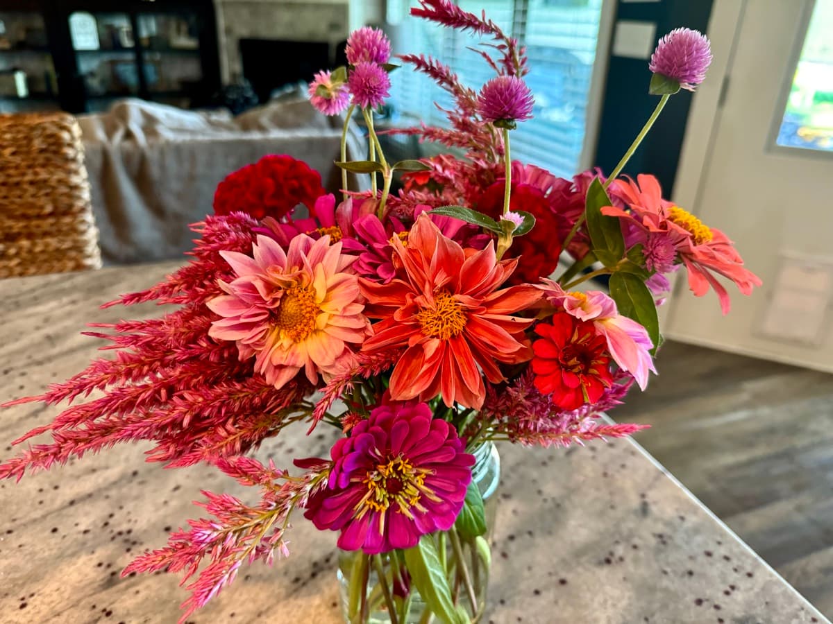 Warm-toned bouquet with dahlias and celosia